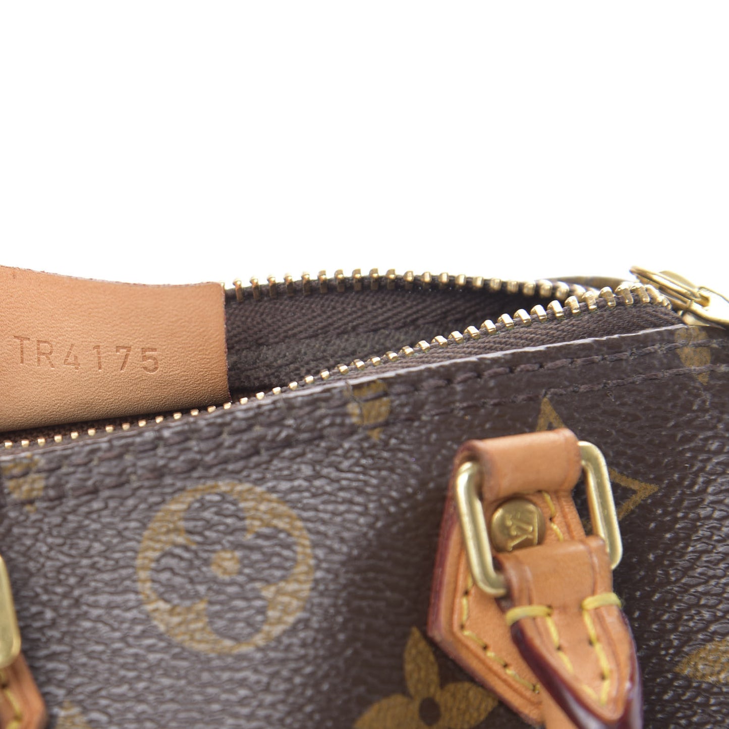 Monogram Nano Speedy