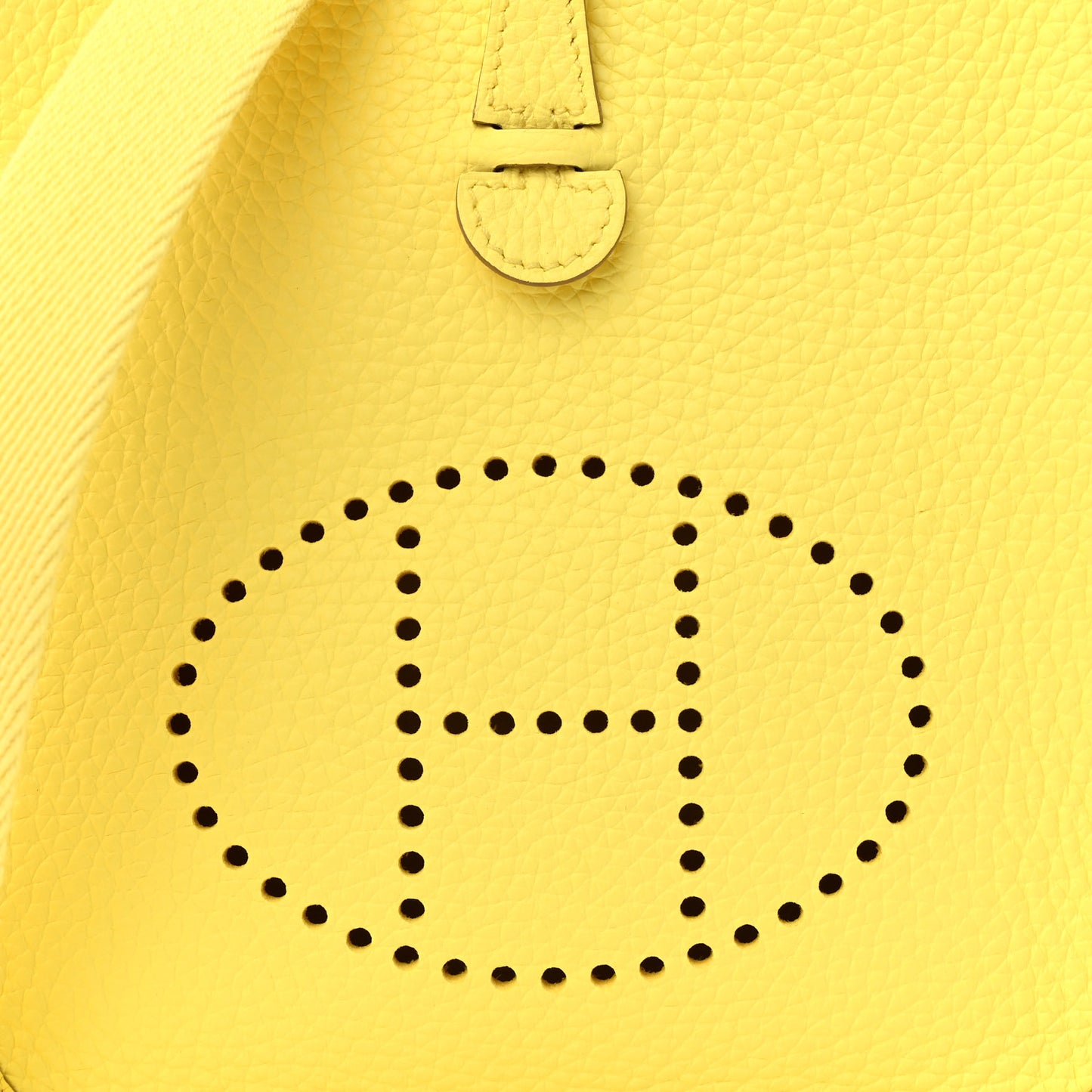 Taurillon Clemence Evelyne TPM Limoncello