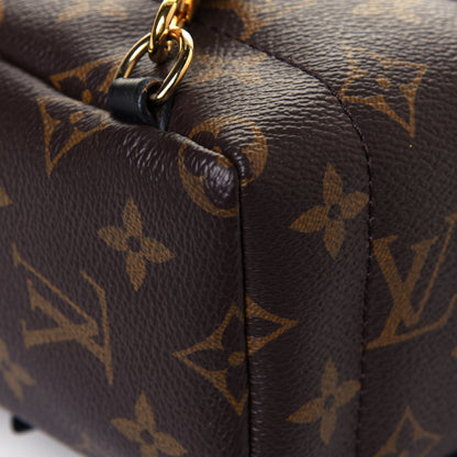 Louis Vuitton Monogram Palm Springs Backpack Mini 9 of 12