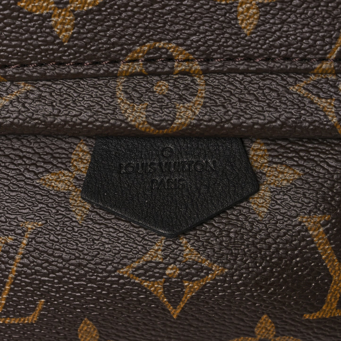 Monogram Palm Springs Backpack Mini