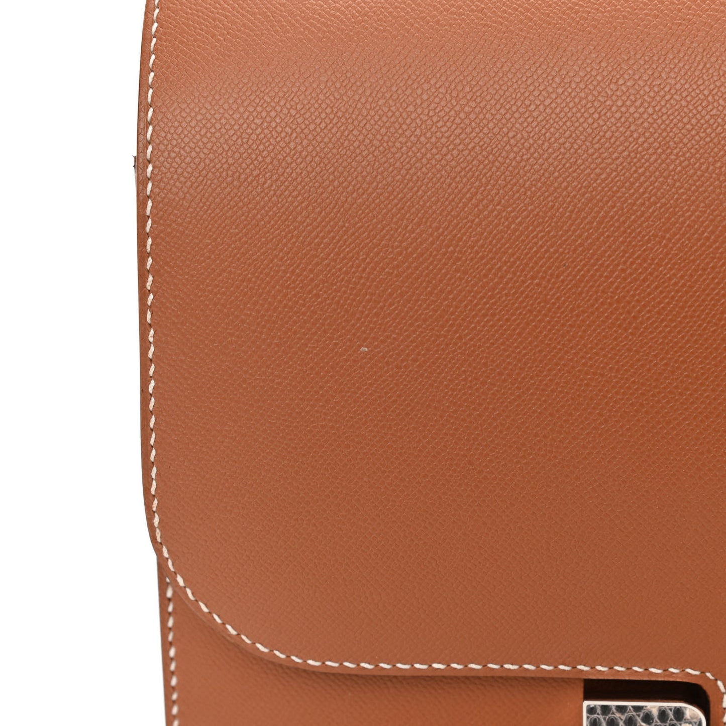 Madame Calfskin Lizard Constance 24 Gold Ombre