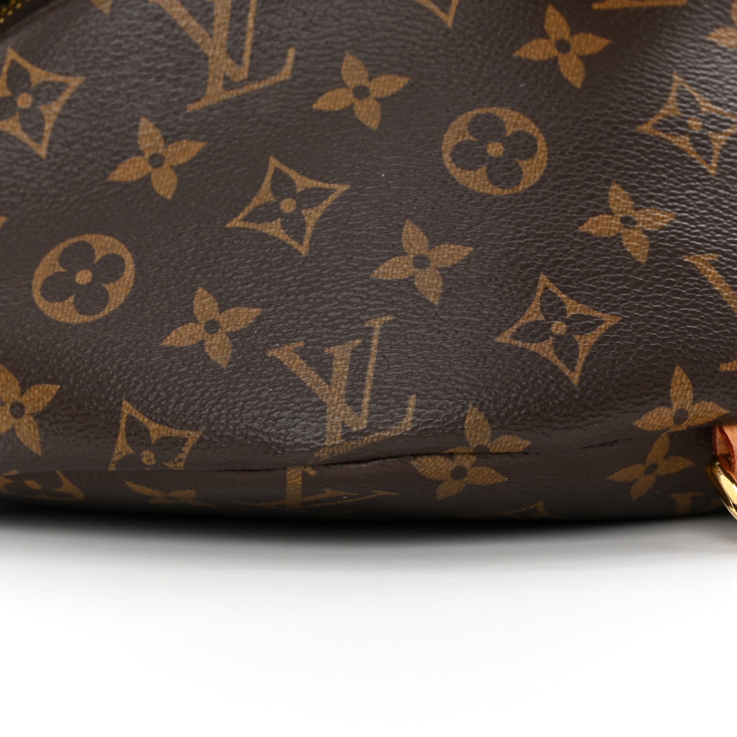 Louis Vuitton Monogram Bumbag 8 of 12