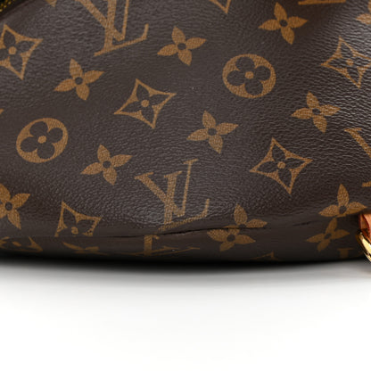 Louis Vuitton Monogram Bumbag 8 of 12