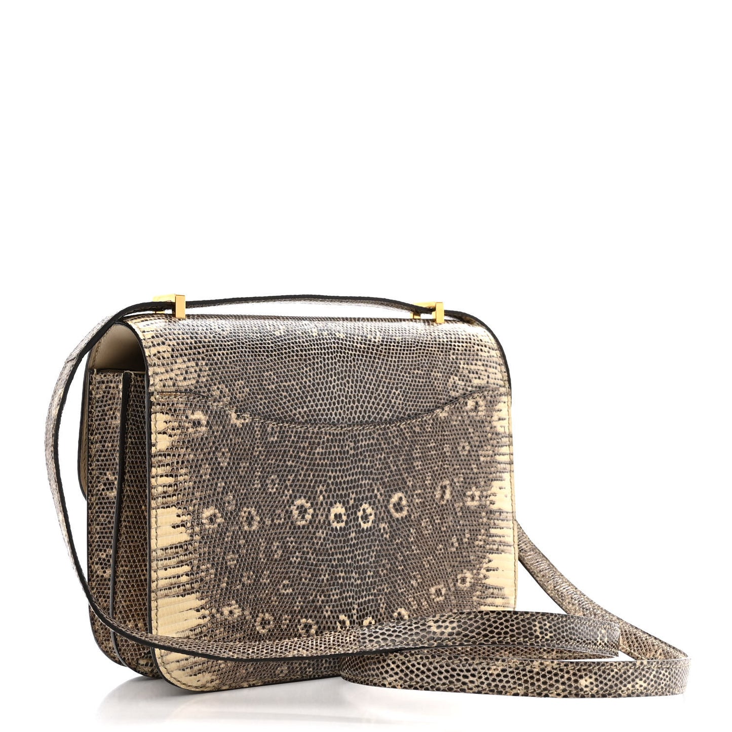Lizard Constance 18 Ombre