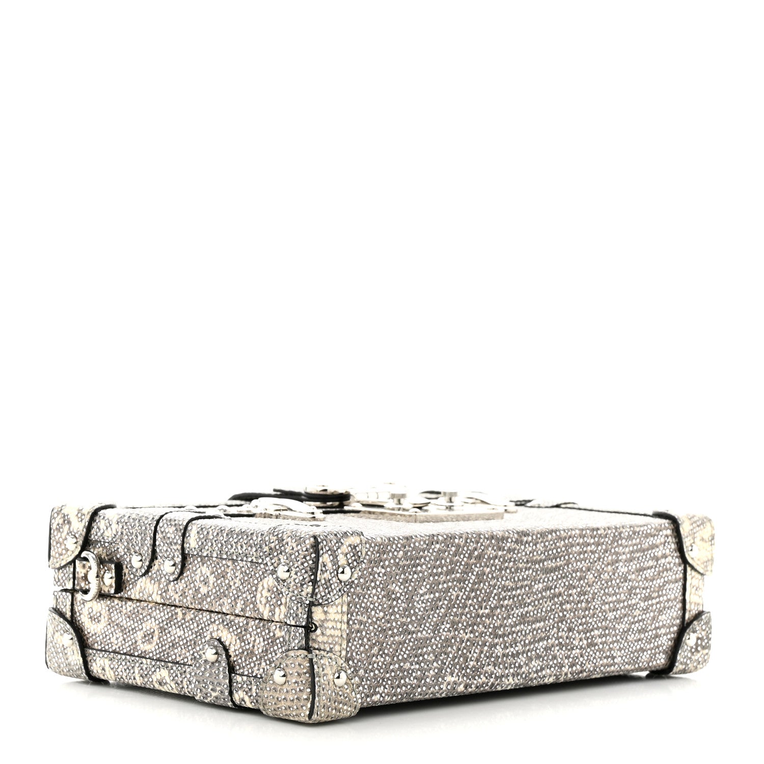 Louis Vuitton Lizard Petite Malle Silver 4 of 10