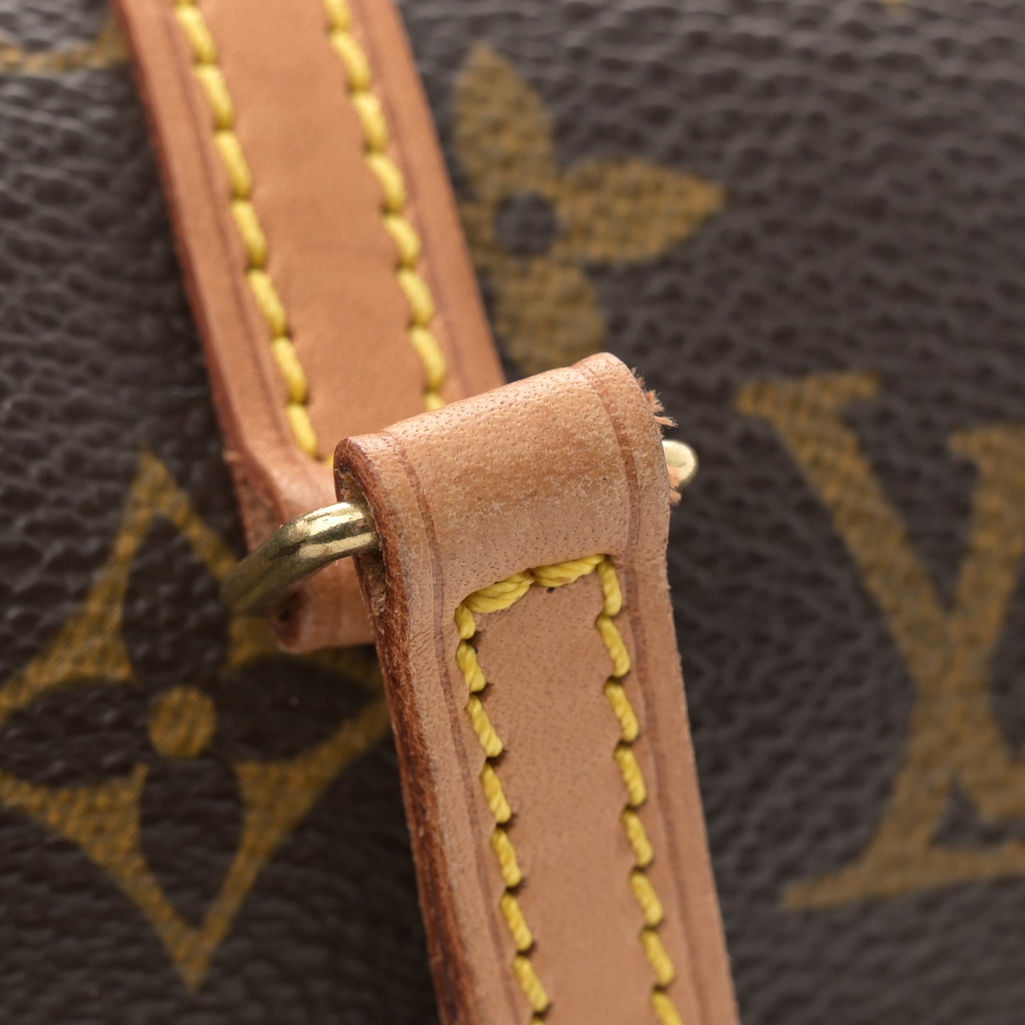 Monogram Papillon 19