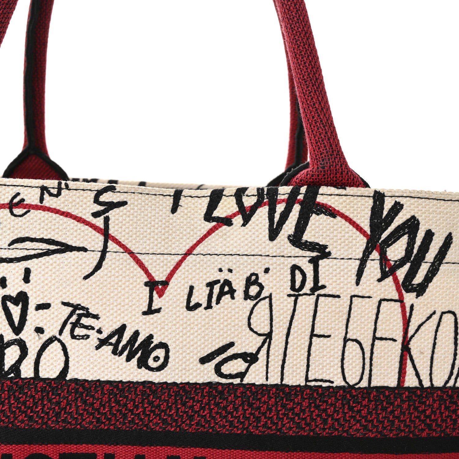 Christian Dior Canvas Embroidered Medium Dioramour Graffiti Book Tote Latte Multicolor 6 of 8