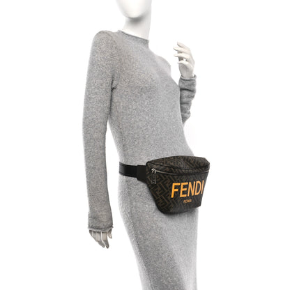Fendi Shiny Glazed Fabric Vitello Cover FF 1974 Logo Belt Bag Tobacco Moro Giallo Ebano 3 of 10