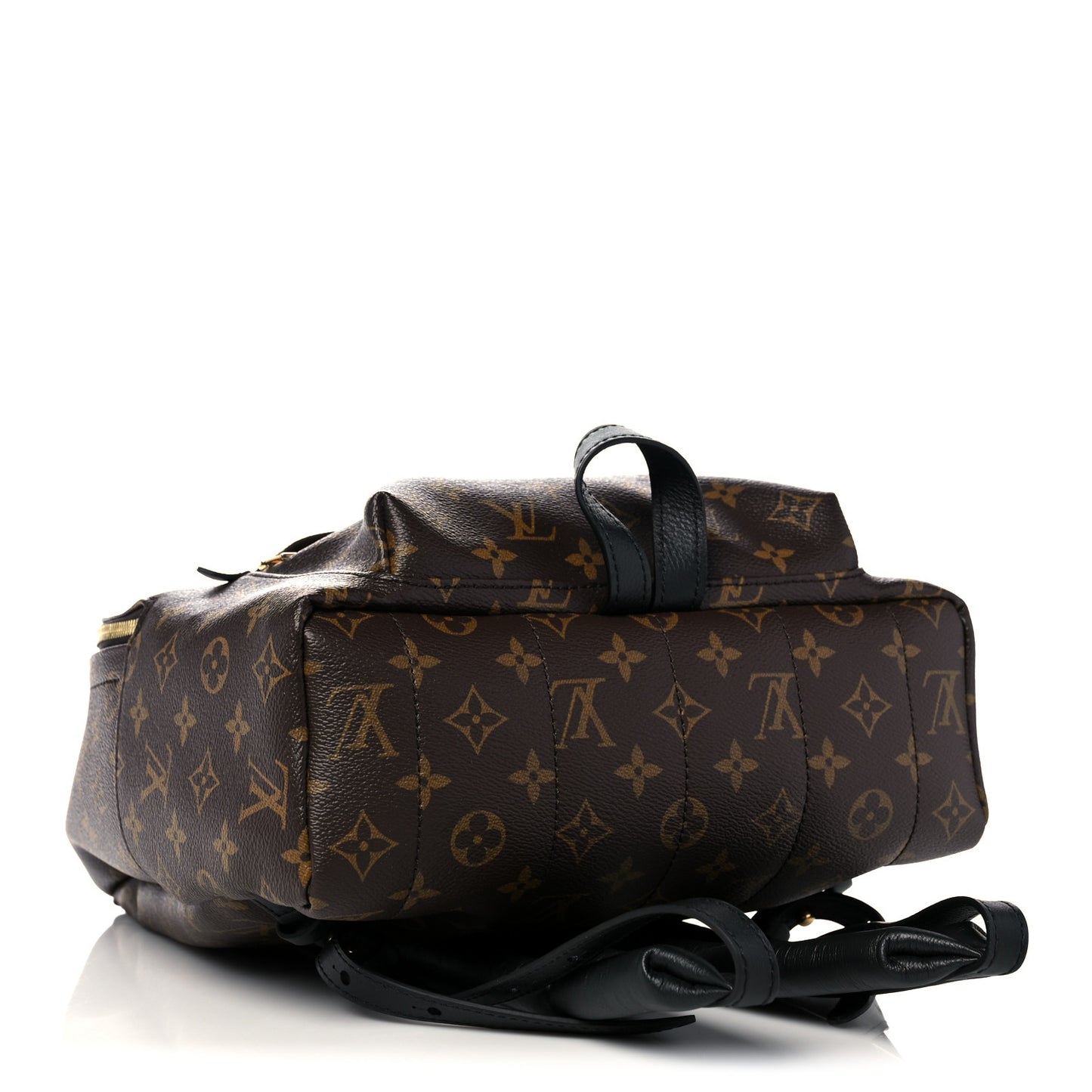 Monogram Palm Springs Backpack MM