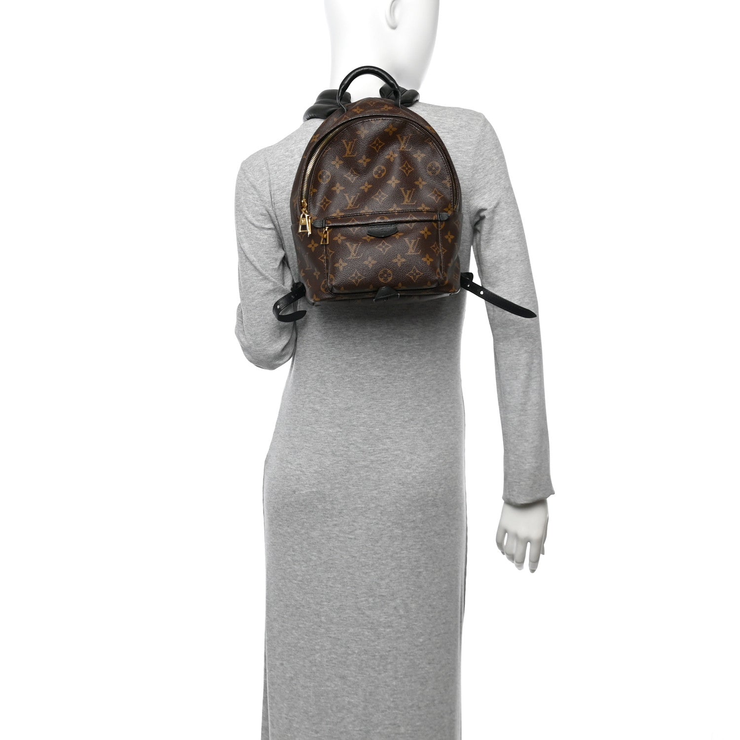 Louis Vuitton Monogram Palm Springs Backpack PM 4 of 24