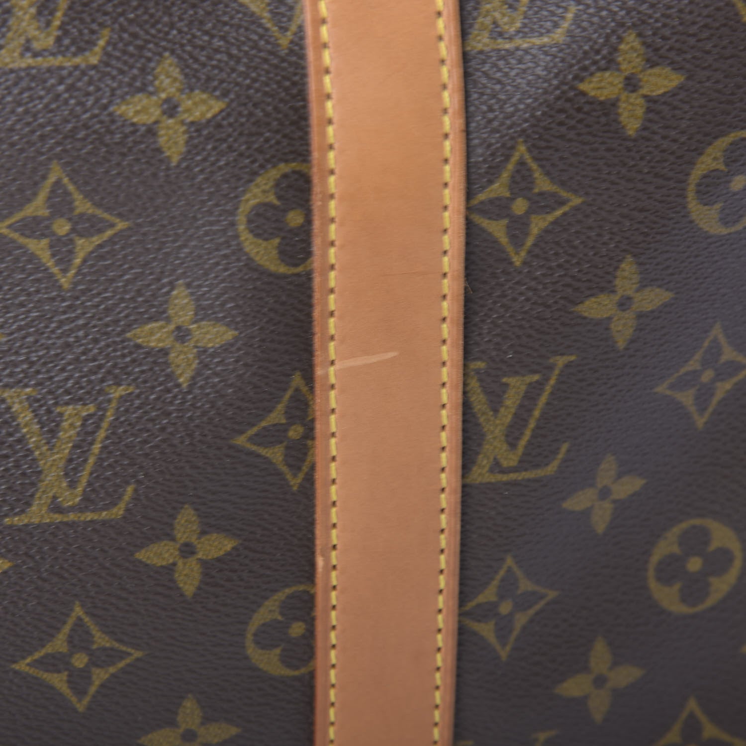 Louis Vuitton Monogram Sac Chien 50 Pet Carrier 13 of 14