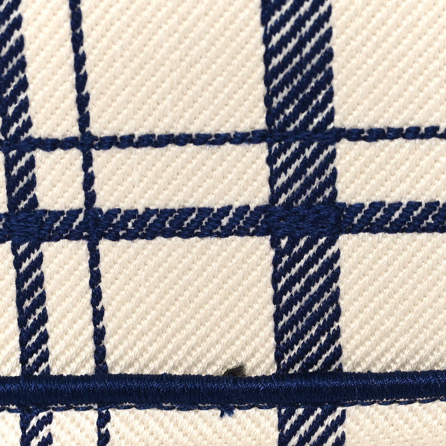 Canvas Embroidered Large Check'n'Dior Book Tote Blue