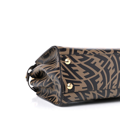 Fendi X SARAH COLEMAN Vitello Liberty Shiny Nappa Plexiglass FF Vertigo Mini Peekaboo Iconic Satchel 9 of 10