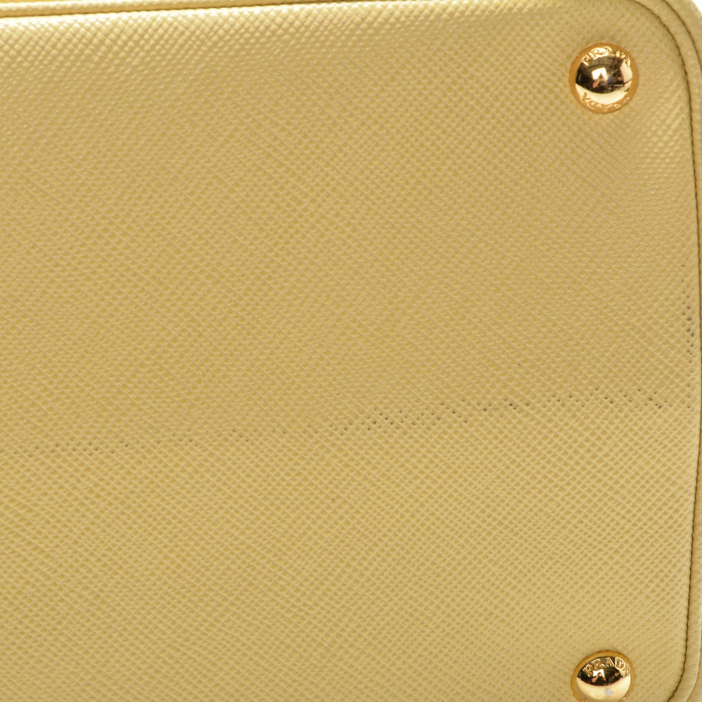 Saffiano Cuir Medium Double Bag Polline