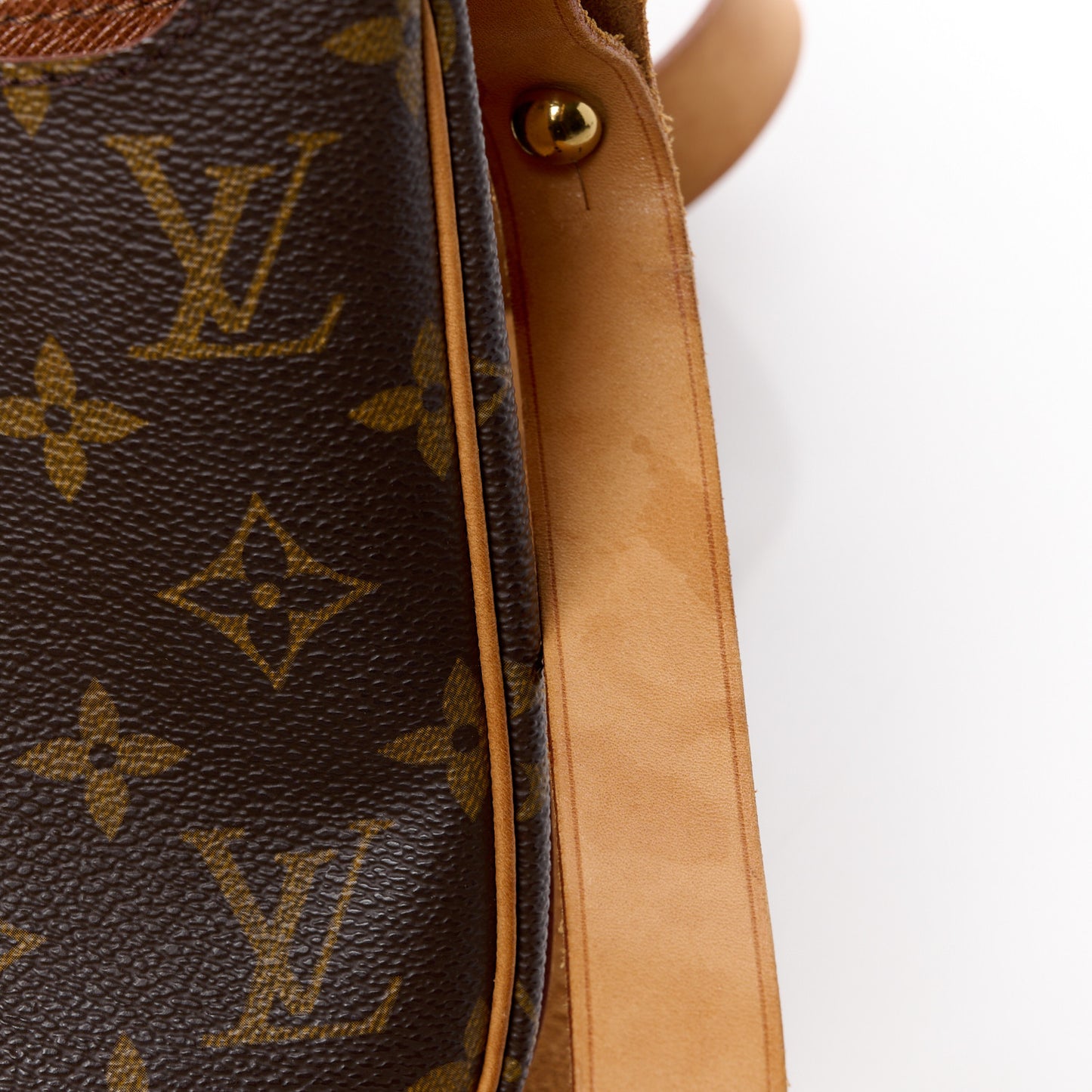 Monogram Cartouchiere 22