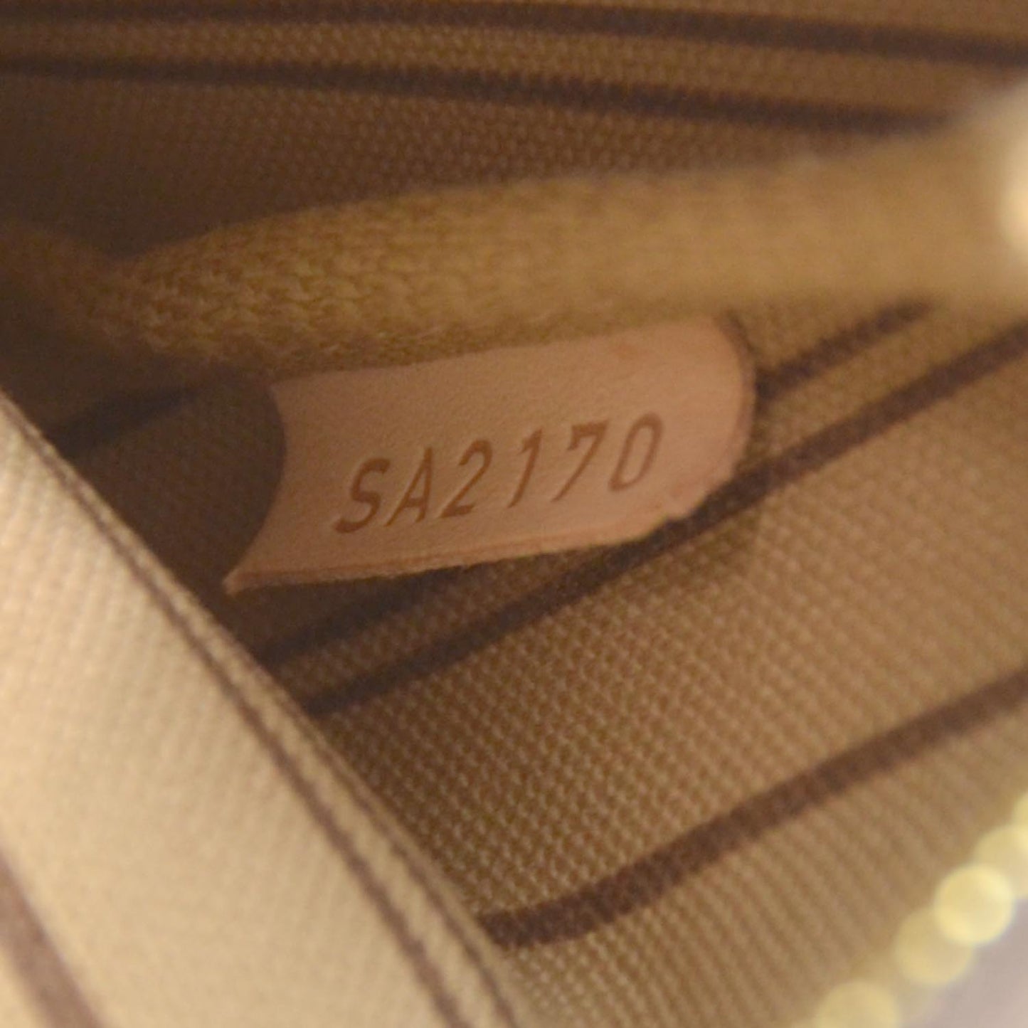 Monogram Mini Pochette Delightful