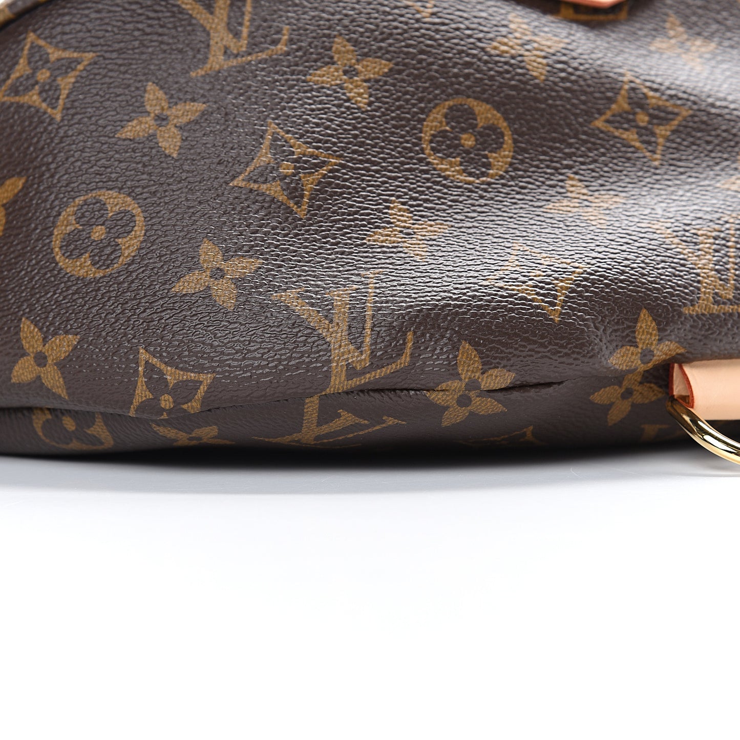 Monogram Bumbag