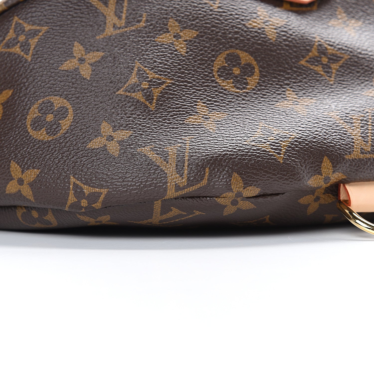 Louis Vuitton Monogram Bumbag 8 of 9
