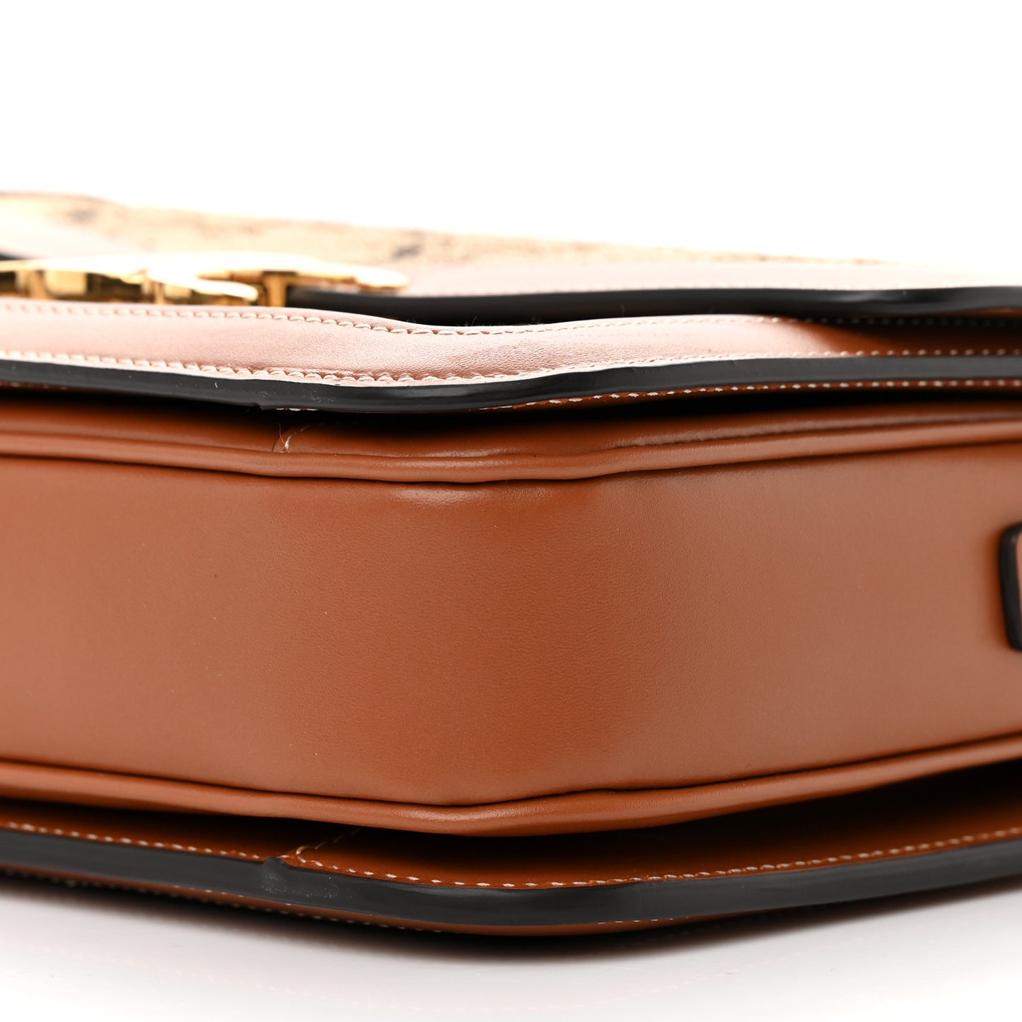 Canvas Calfskin Triomphe Embroidered Medium Triomphe Bag Tan