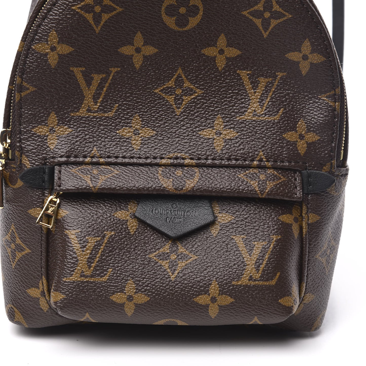 Monogram Palm Springs Backpack Mini