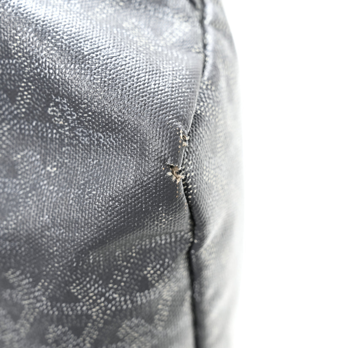 Goyard Goyardine Saint Louis PM Grey 12 of 12