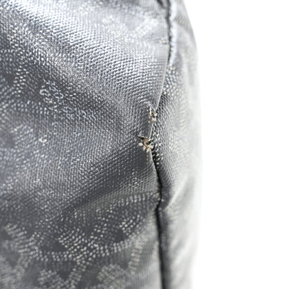 Goyard Goyardine Saint Louis PM Grey 12 of 12