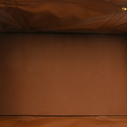 Louis Vuitton Monogram Sac Chien 40 Pet Carrier 5 of 25