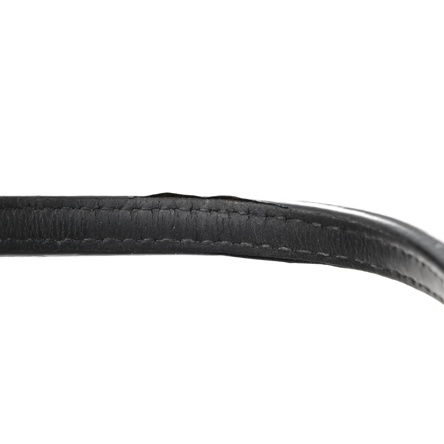 Goyard Goyardine Saint Louis PM Black 19 of 19