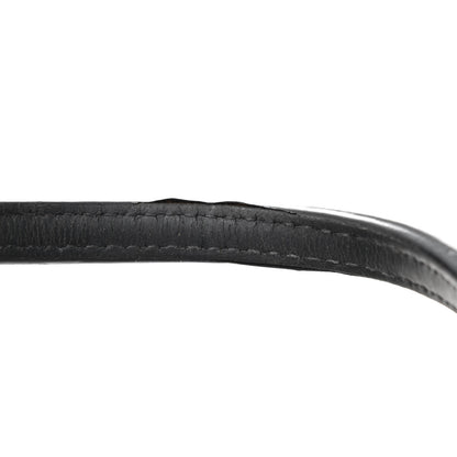 Goyard Goyardine Saint Louis PM Black 19 of 19