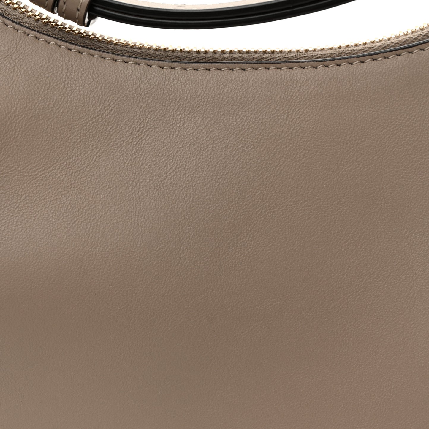 Vitello Grace Matte Small Fendigraphy Hobo Bag Tortora