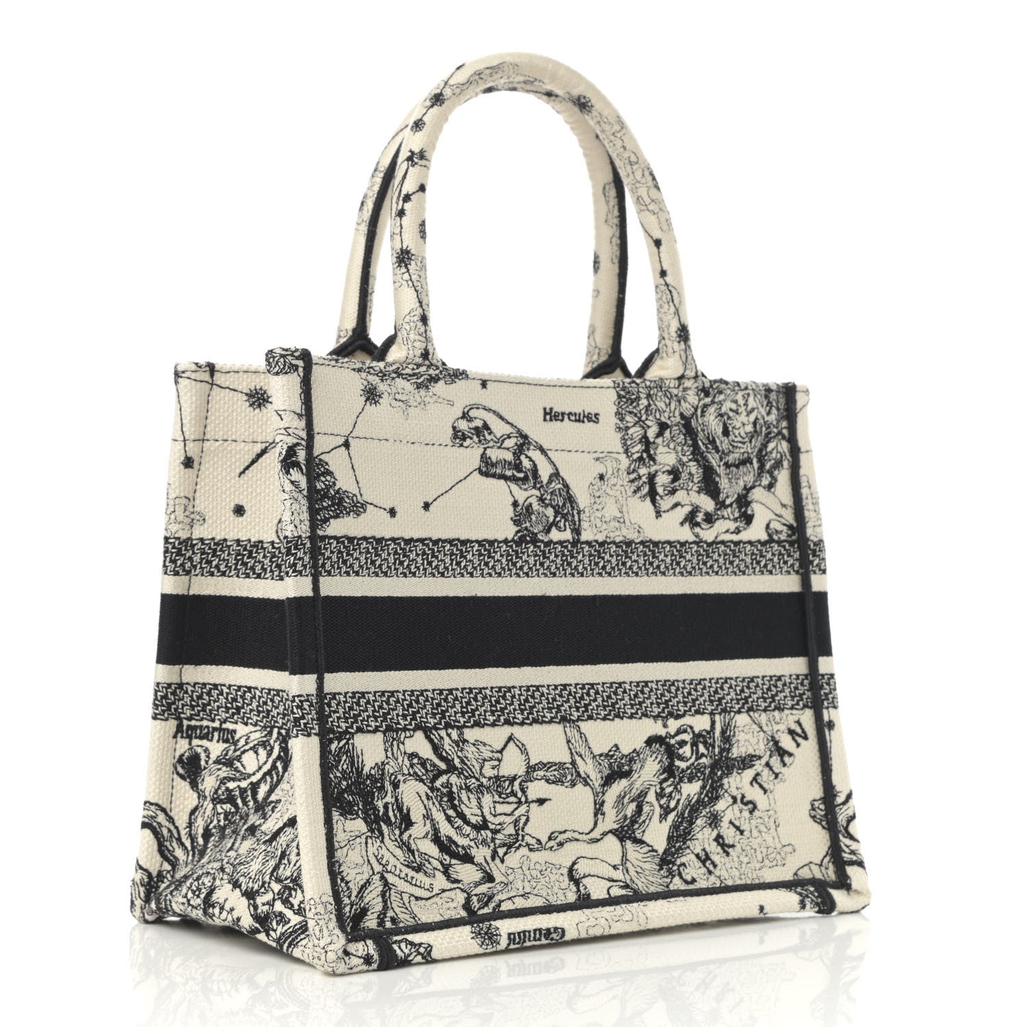 Christian Dior Canvas Embroidered Small Zodiac Toile De Jouy Book Tote Latte 3 of 10