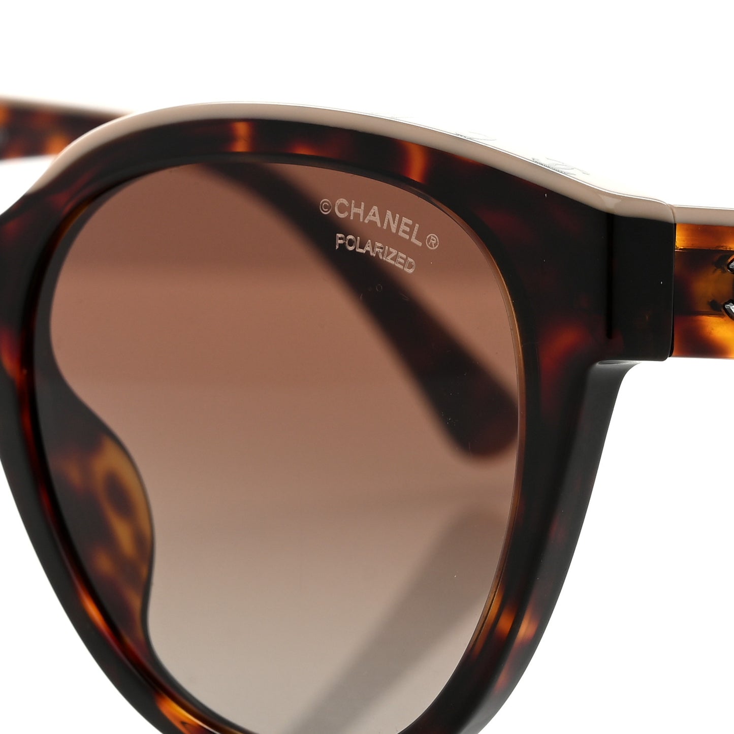 Acetate Polarized CC Butterfly Sunglasses 5414 Tortoise