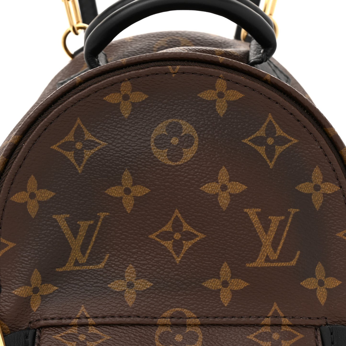 Monogram Palm Springs Backpack Mini