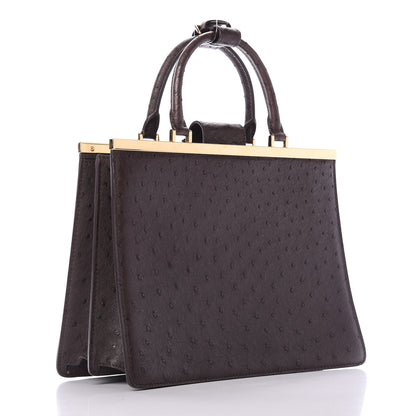 Louis Vuitton Ostrich Deesse MM Marron 2 of 8
