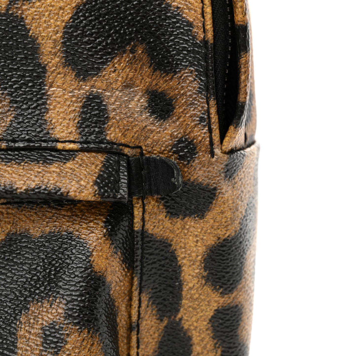 Wild Animal Print Palm Springs Backpack PM