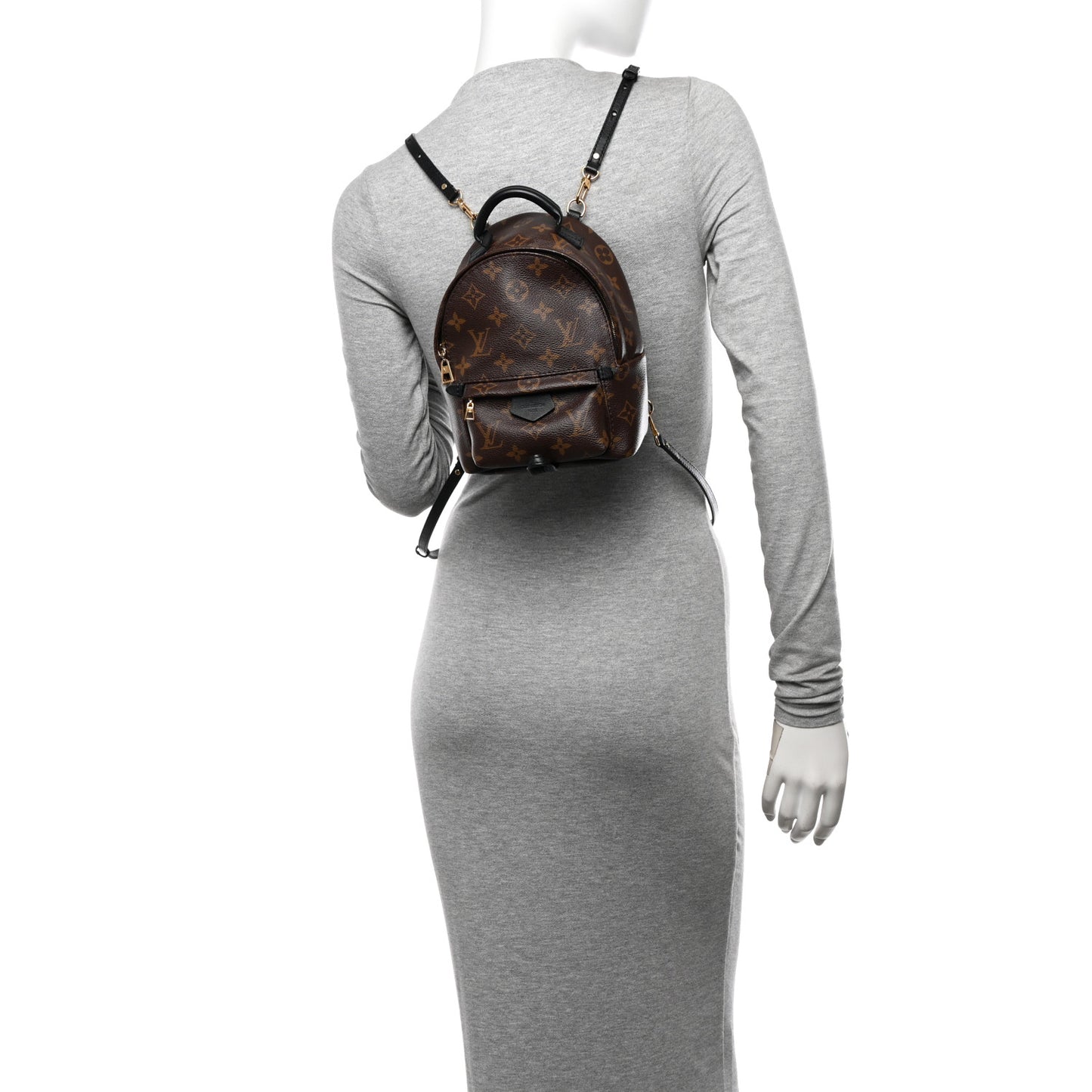 Monogram Palm Springs Backpack Mini