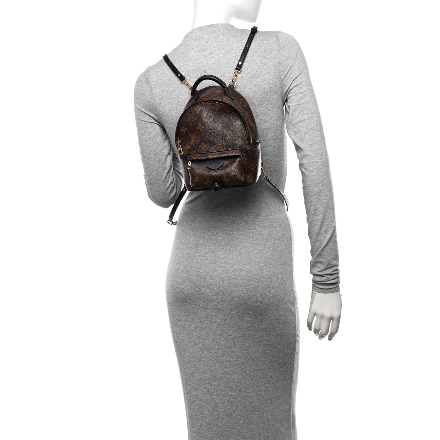 Louis Vuitton Monogram Palm Springs Backpack Mini 2 of 13