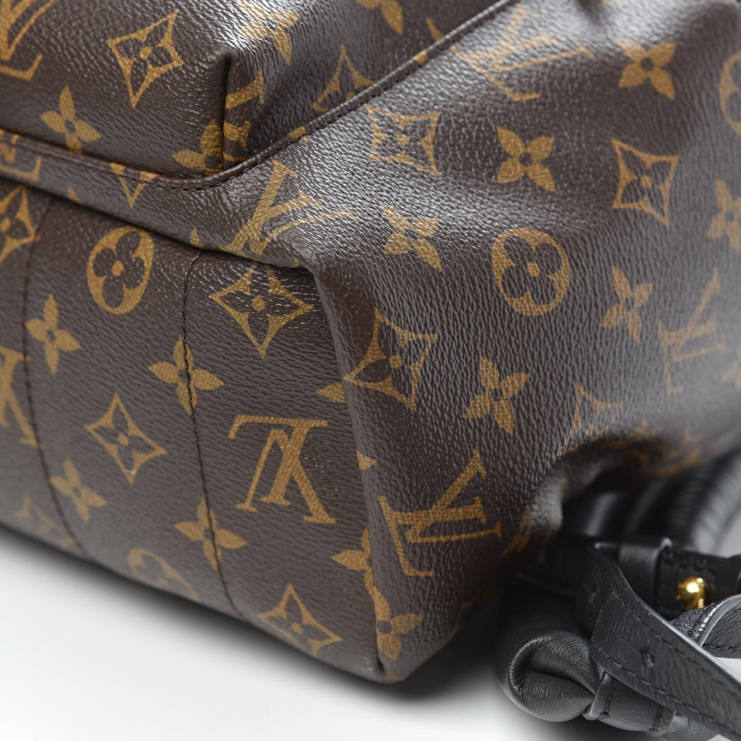 Monogram Palm Springs Backpack MM