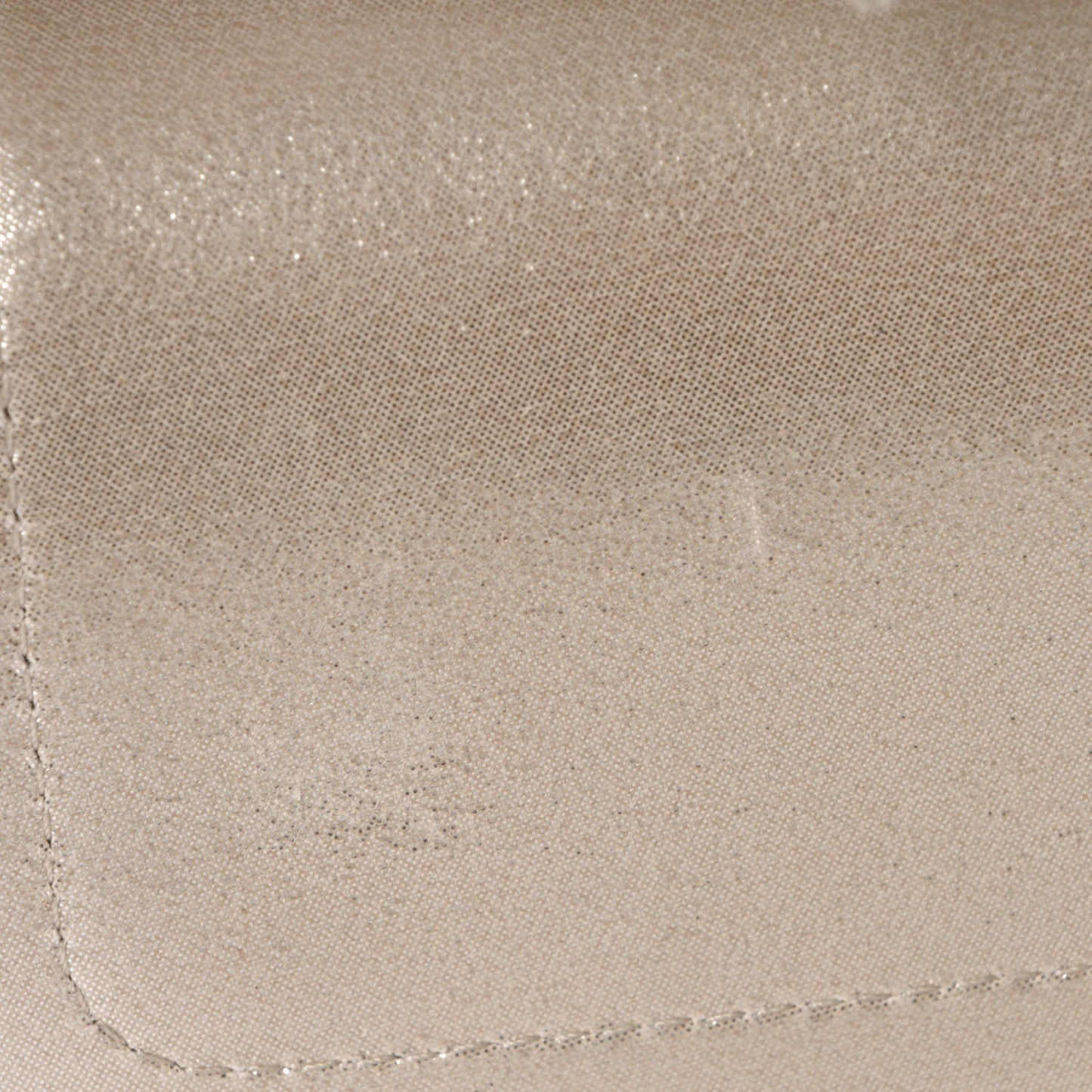 Iridescent Calfskin Medium Double Flap Light Gold
