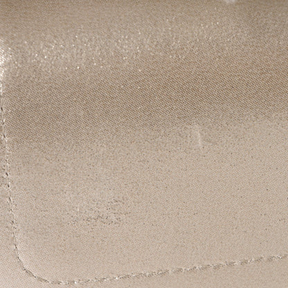 Chanel Iridescent Calfskin Medium Double Flap Light Gold 9 of 13
