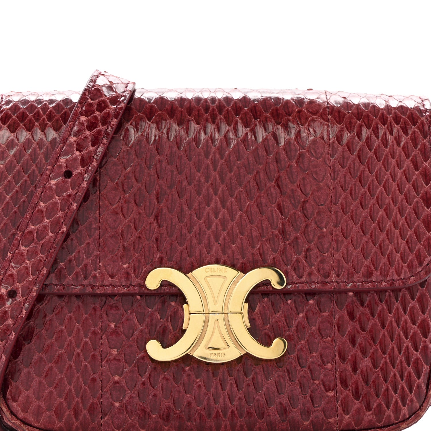 Celine Watersnake Teen Triomphe Ruby 8 of 13