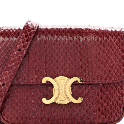 Celine Watersnake Teen Triomphe Ruby 8 of 13