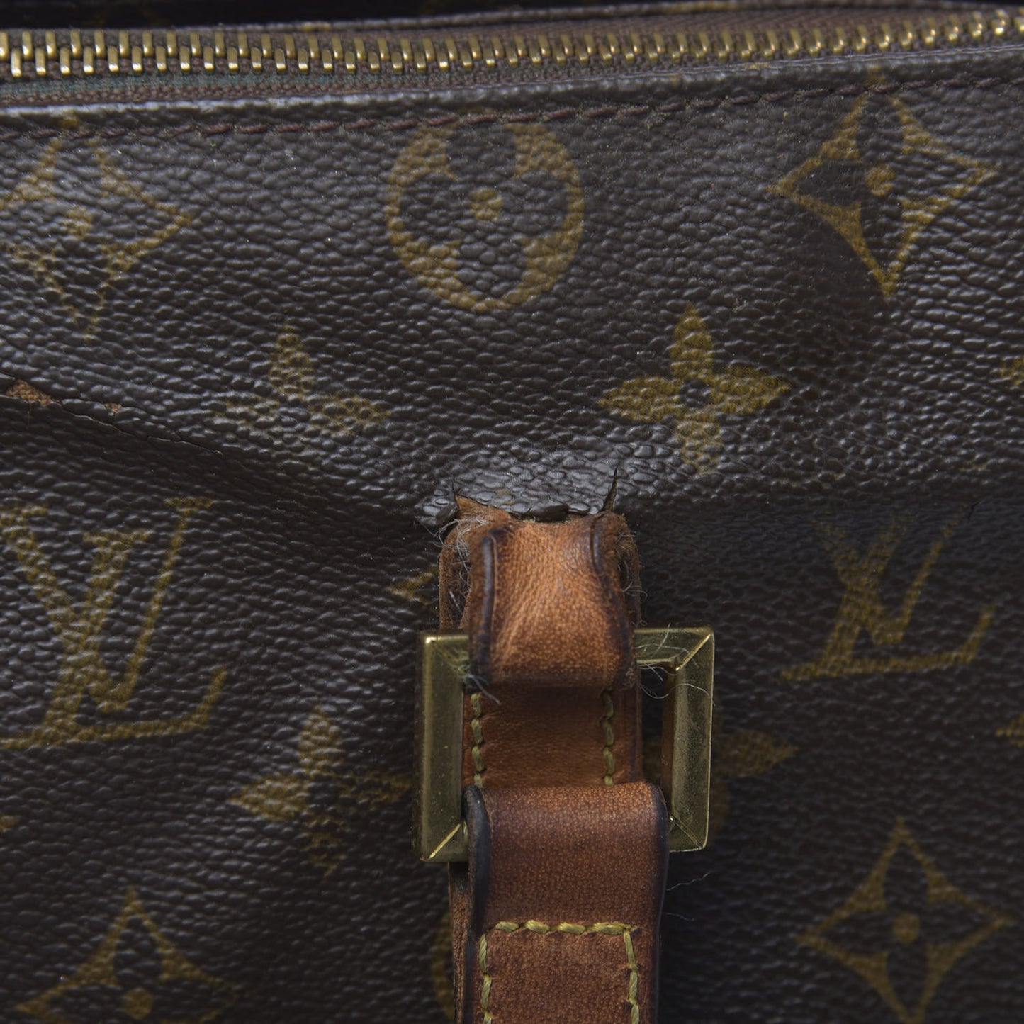 Monogram Cabas Mezzo