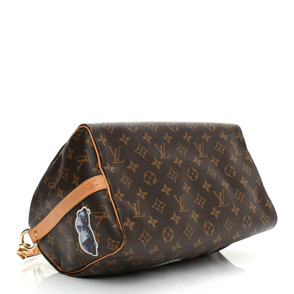Louis Vuitton Monogram World Tour Speedy Bandouliere 30 4 of 10