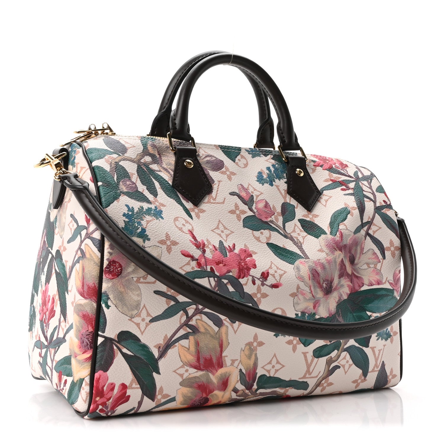 Louis Vuitton Monogram Dune Botanical Speedy Soft 30 3 of 10