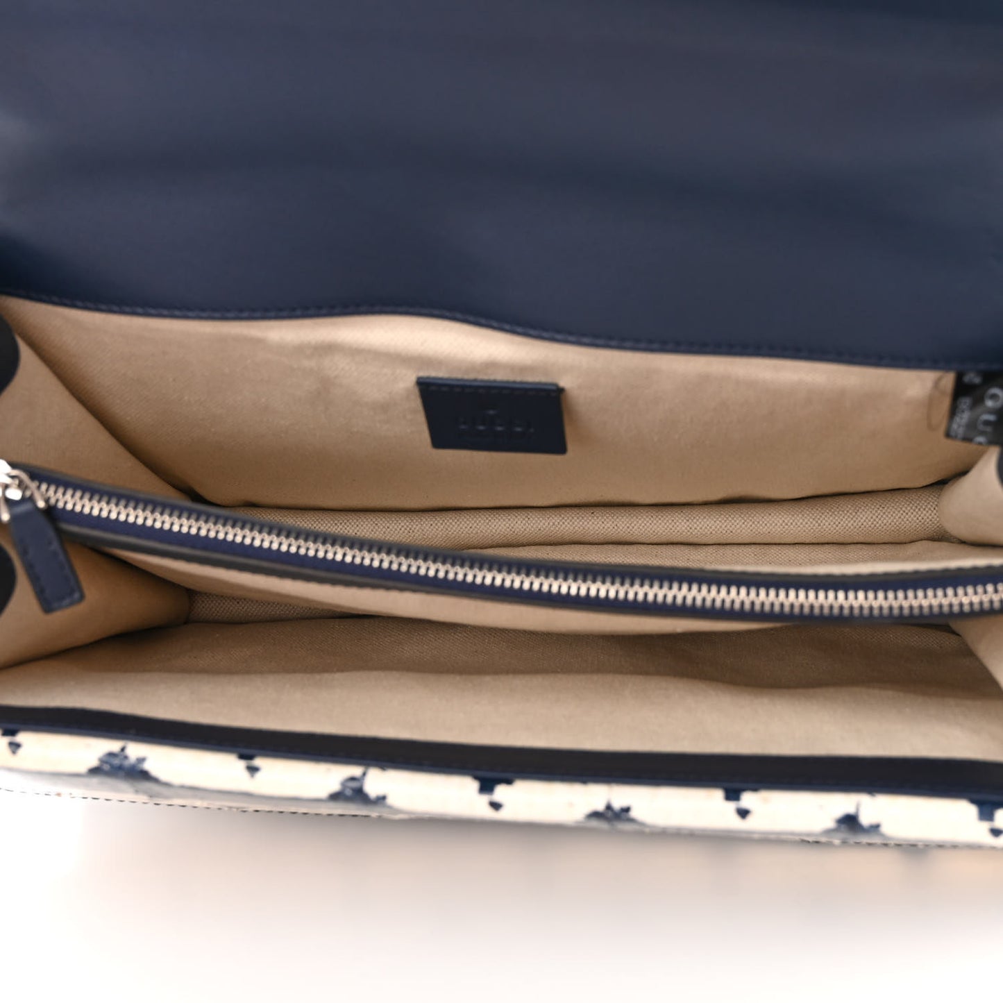 Snakeskin Dragonfly Medium Dionysus Shoulder Bag Blue