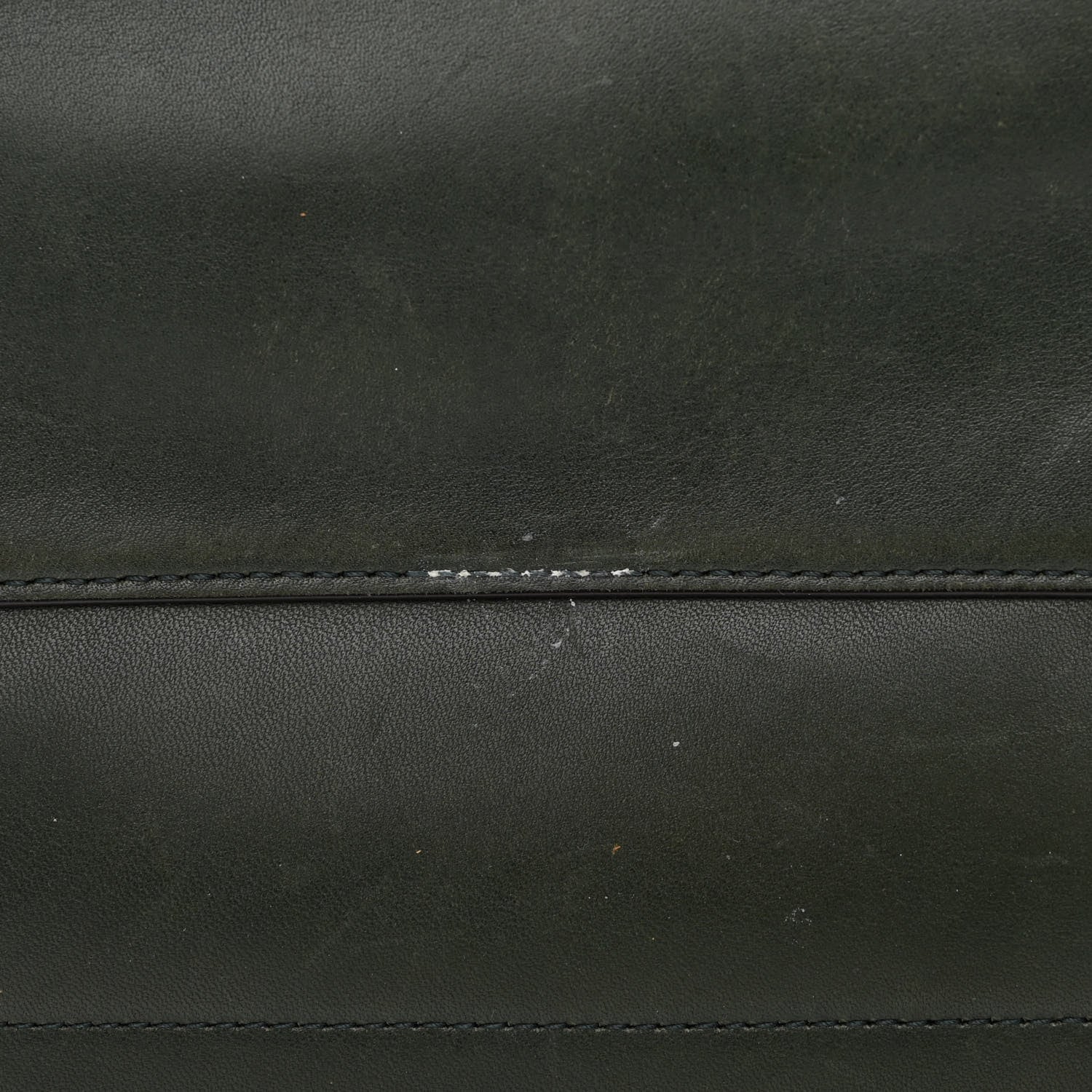 Celine Natural Calfskin Seau Sangle Bucket Green 13 of 14