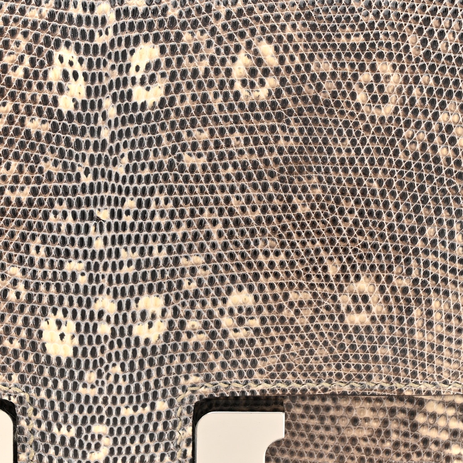 Hermes Lizard Constance 18 Ombre 9 of 13