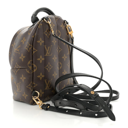 Louis Vuitton Monogram Palm Springs Backpack Mini 3 of 16