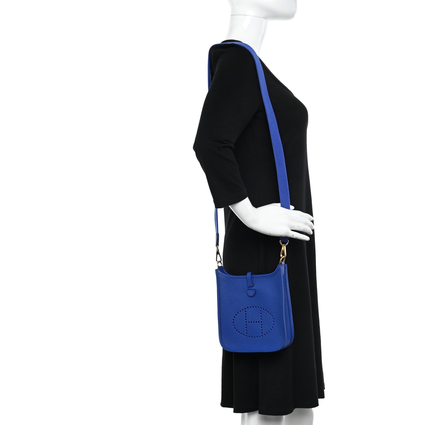 Taurillon Clemence Evelyne TPM Bleu Royal